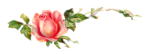 Romantic Pink Flower Border Transparent Images PNG PNG, SVG Clip art ...