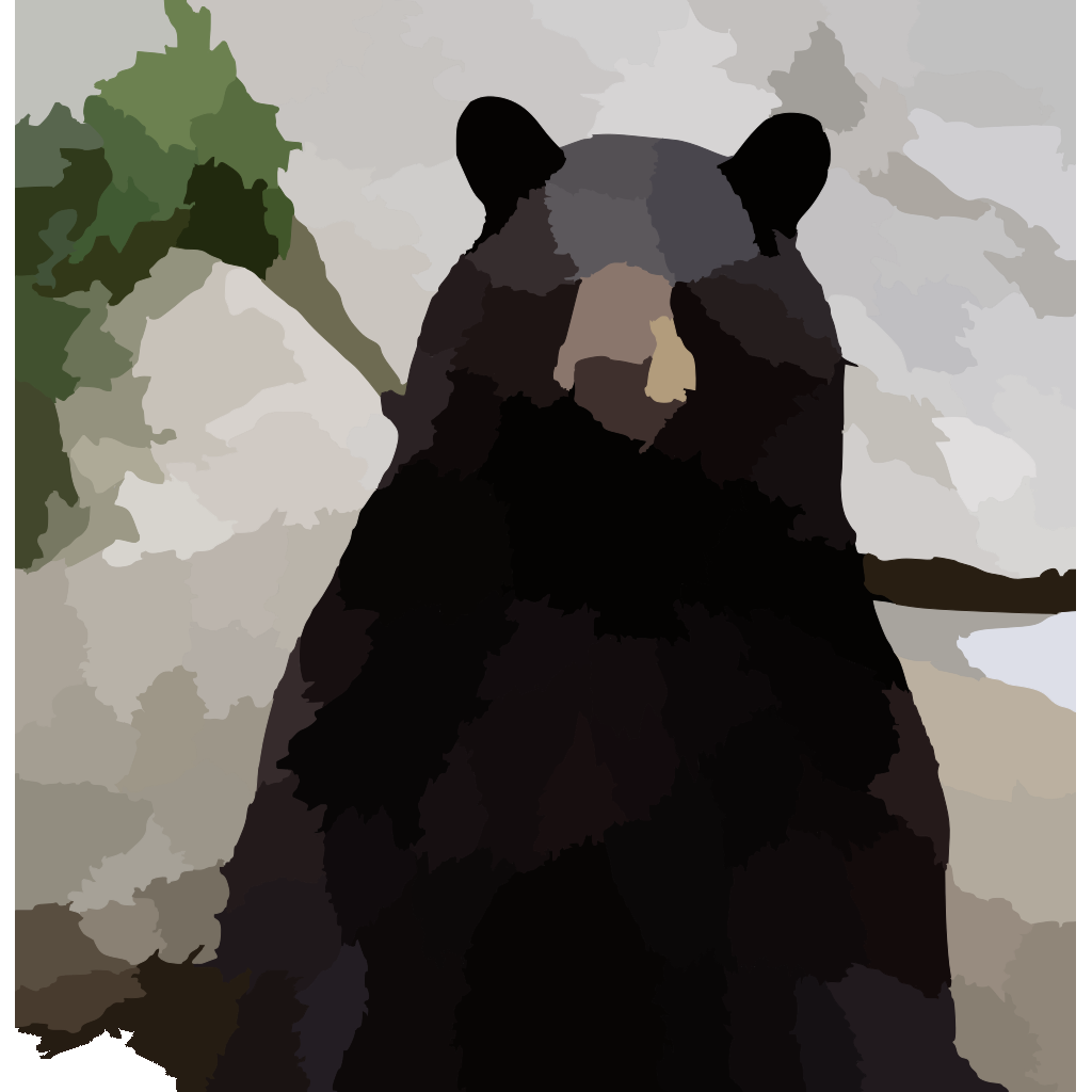 Black Bear Drawing Transparent Png clipart free download