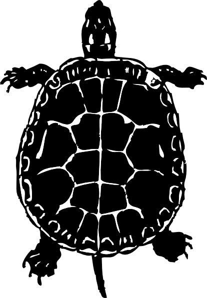 Black Turtle Outline clipart preview