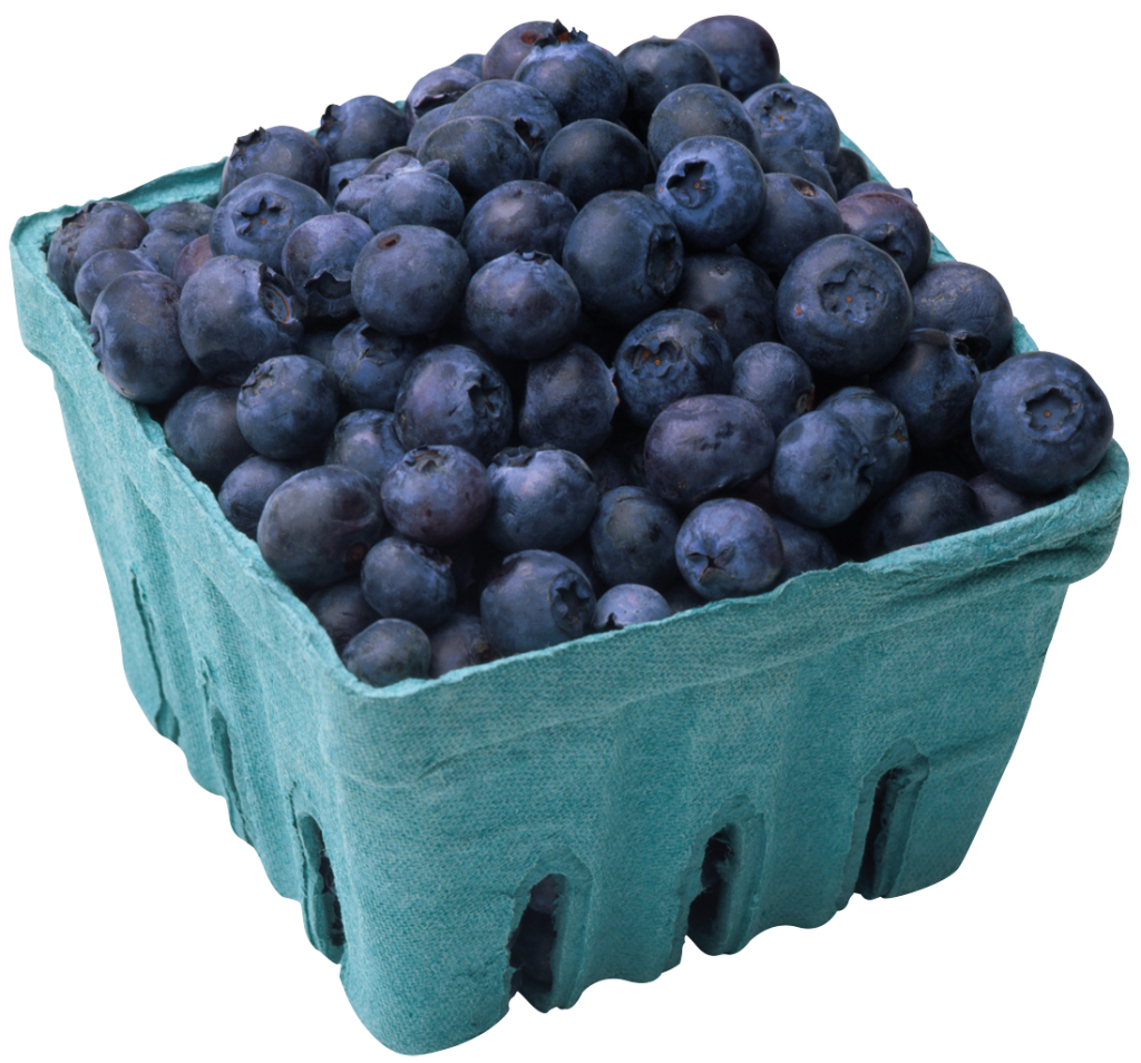 Blueberry Fruit Food clipart preview