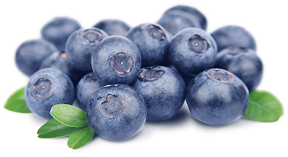 Blueberry Fruit Photography HD clipart preview