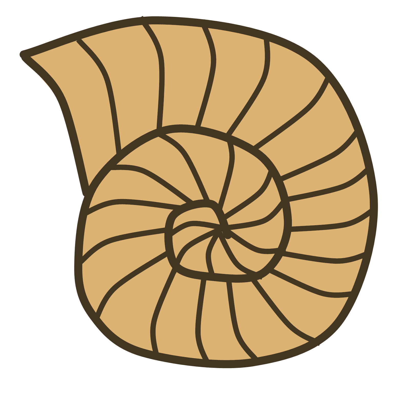 Brown Sea Shell Silhouette clipart preview