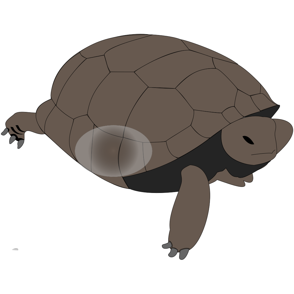 Brown Turtle Icon clipart preview