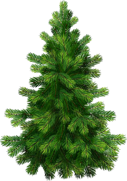 Christmas Tree Picture clipart preview