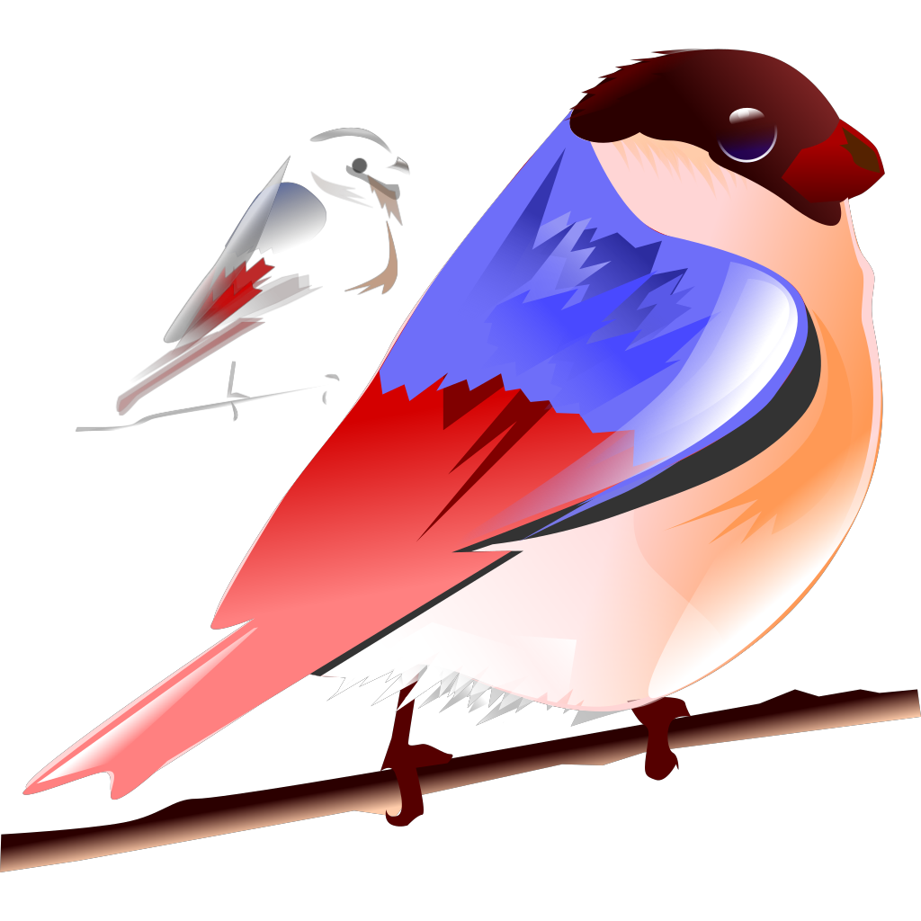 Colorful Bird clipart preview