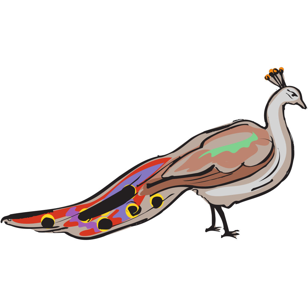 Colorful Peacock Clipart clipart free download