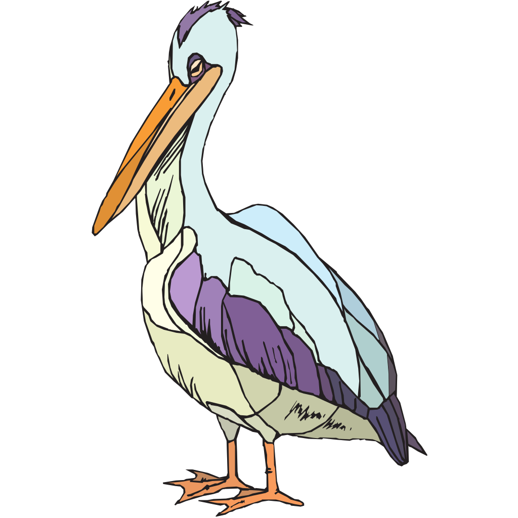 Colorful Pelican Clipart clipart free download