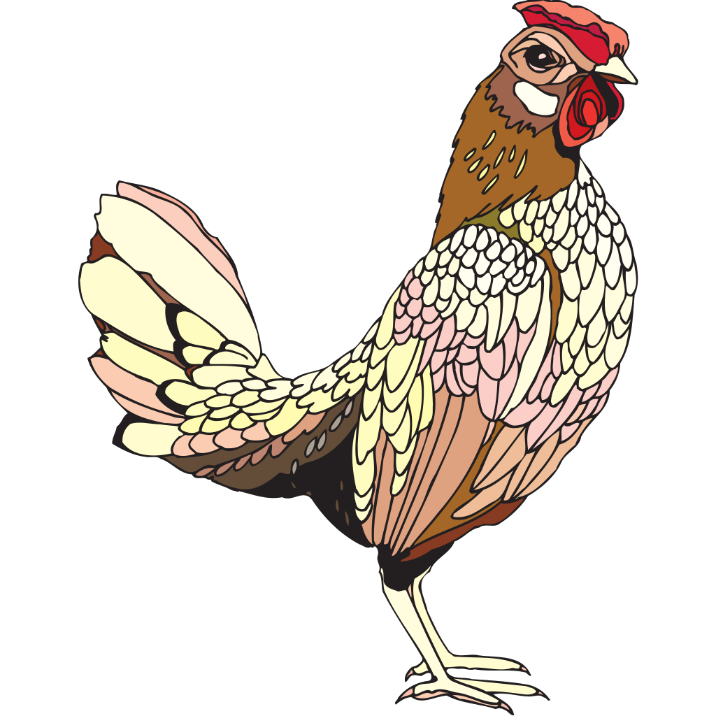 Colorful Rooster Clipart  clipart free download