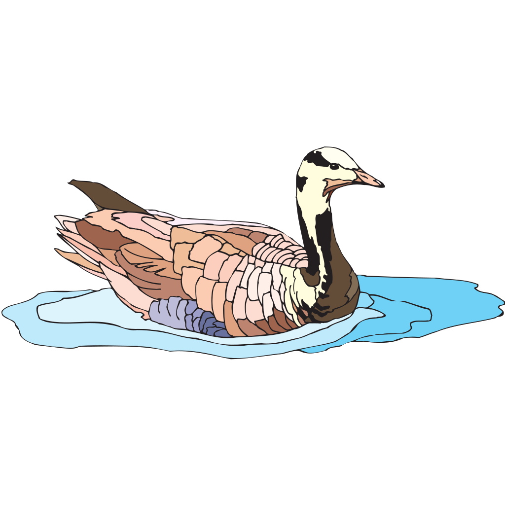 Colorful Swimming Duck Illustration clipart free download