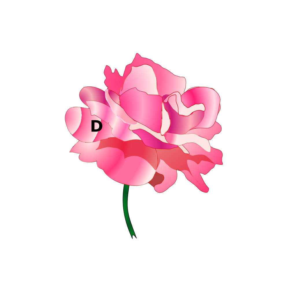 Donate Flower Button clipart preview