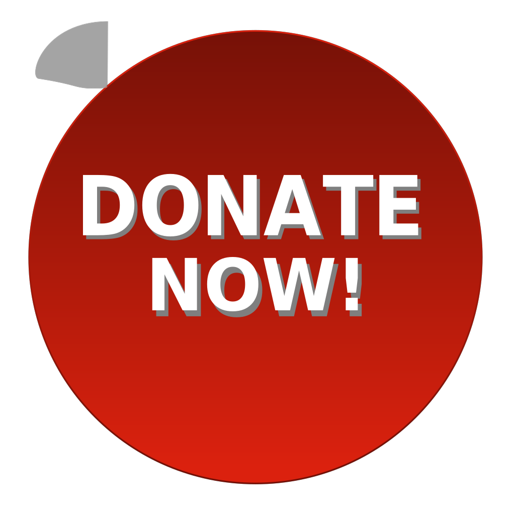 Donate Now Red Button clipart preview