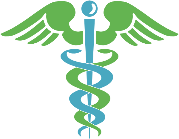 Healthcare Icon clipart preview