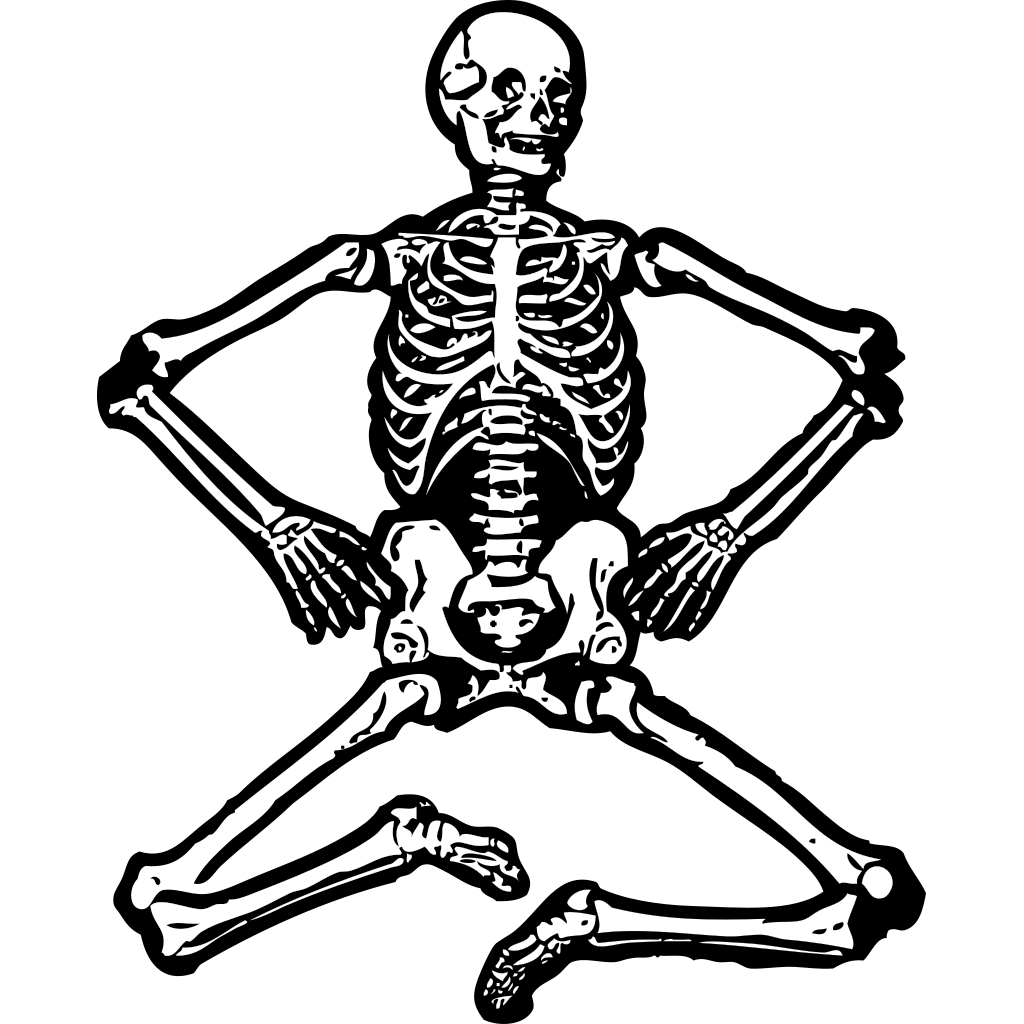 Human Skeleton Png Clipart clipart preview