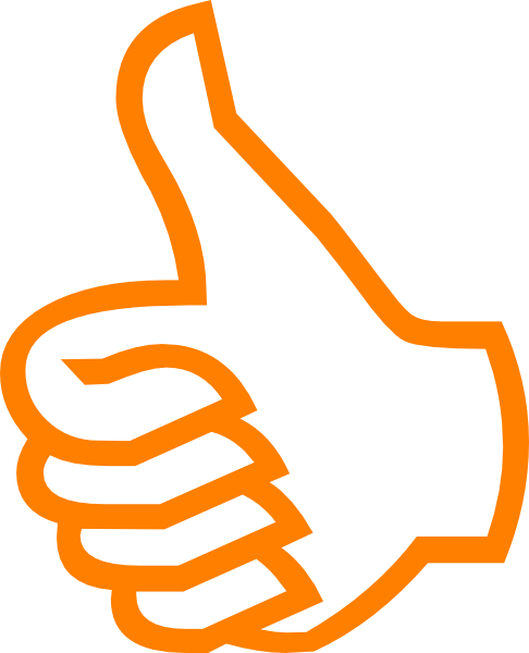 Orange Hand Okey Icon clipart preview