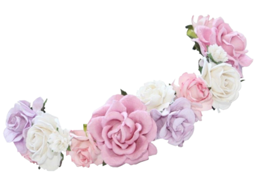 Pink Flower Crown PNG Photos clipart preview