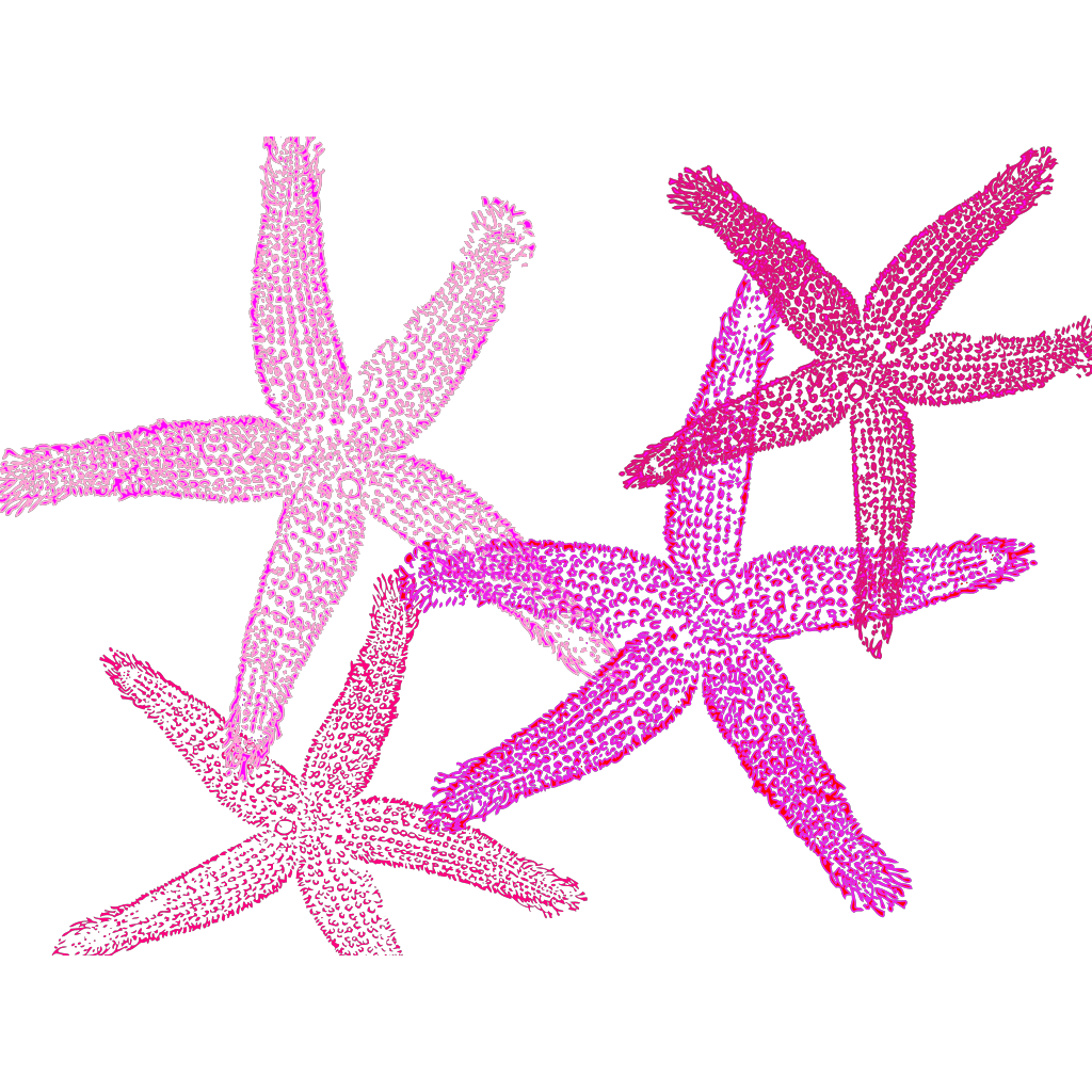 Pink Starfish Prints clipart preview