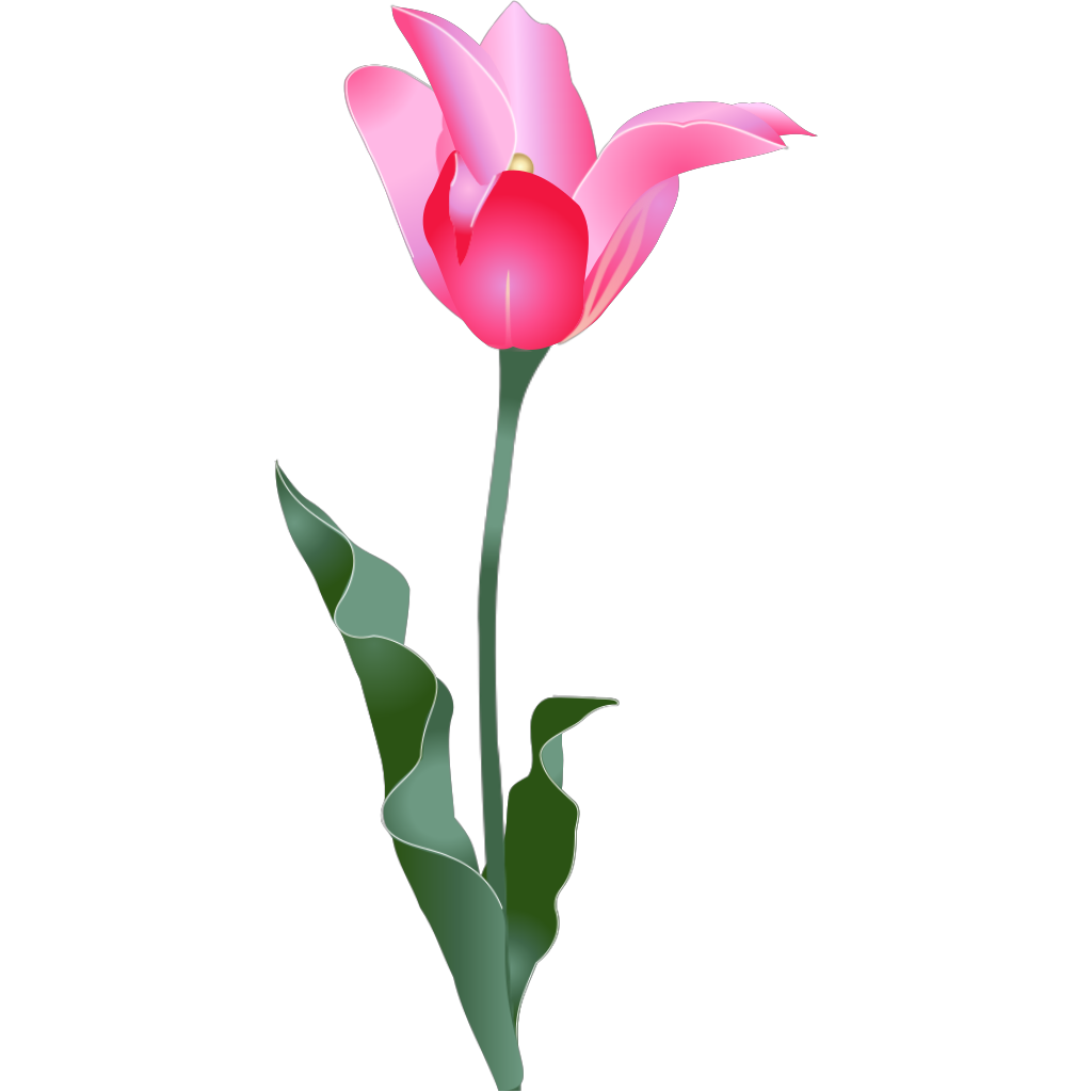 Pink Tulip Green Flower clipart preview