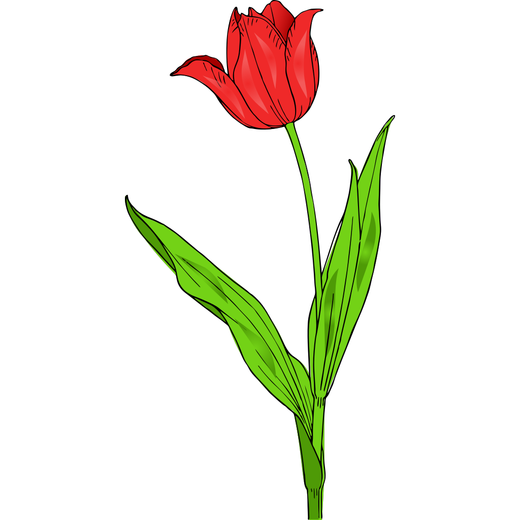 Red Tulip Green Plants clipart preview