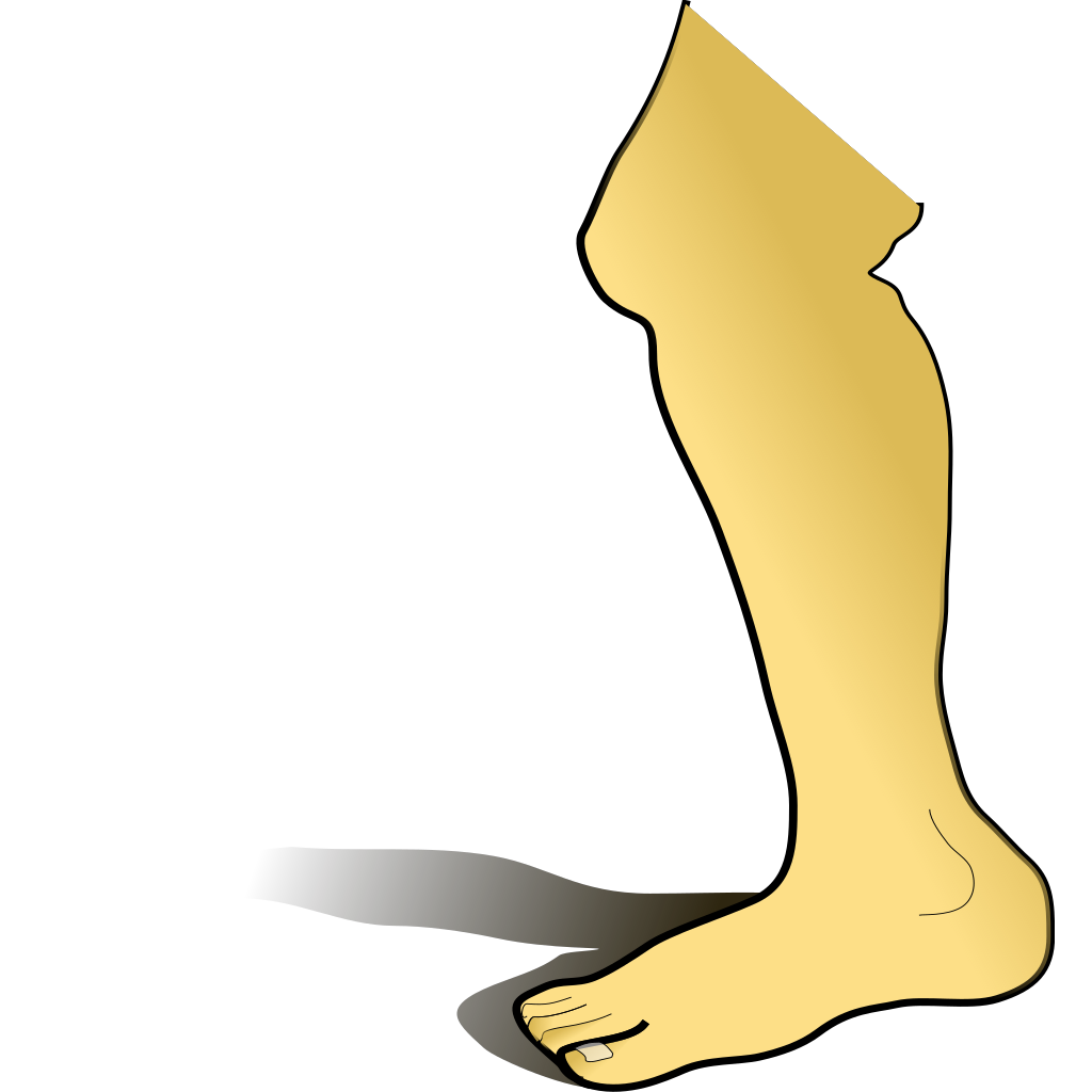 Right Human Foot Graphics  clipart preview