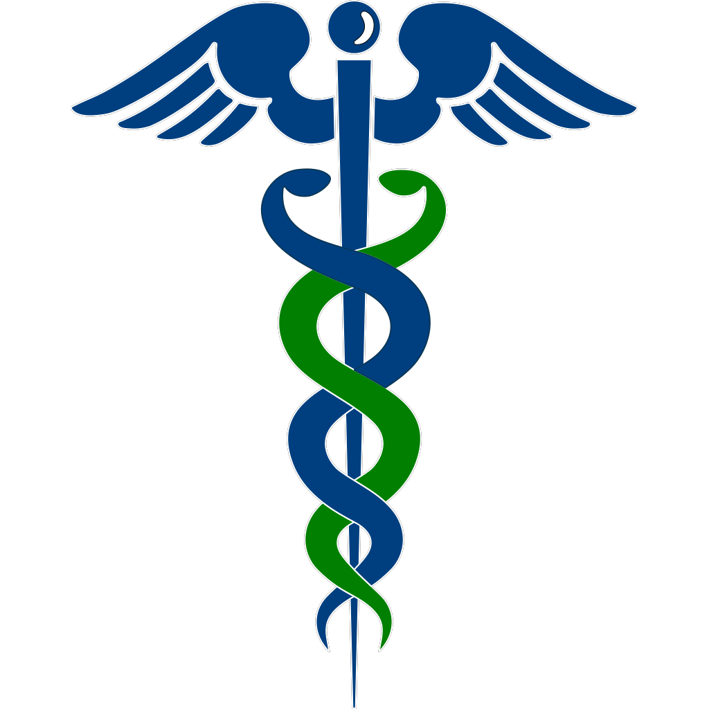 Snake Healthcare Logo  clipart preview