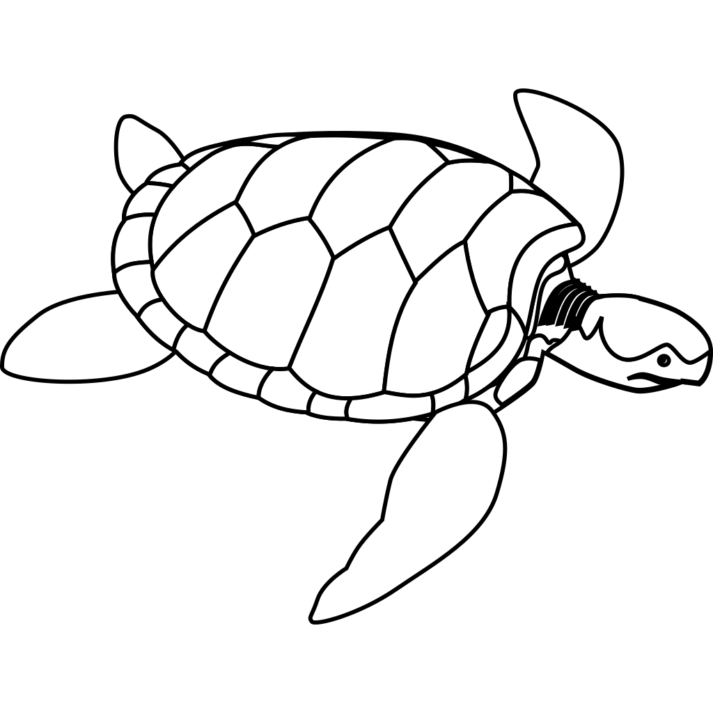 Turtle Drawing clipart free download