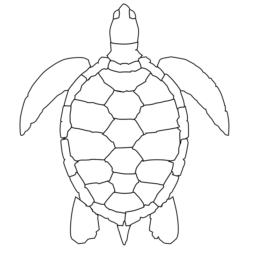 Turtle Outline clipart preview