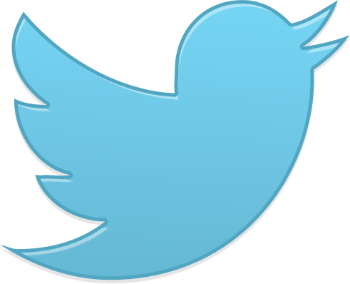 Twitter Bird Logo clipart preview