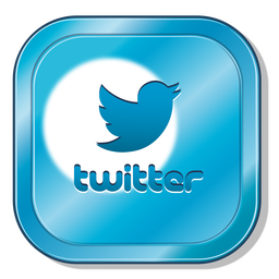 Twitter Logo Transparent Clipart clipart preview