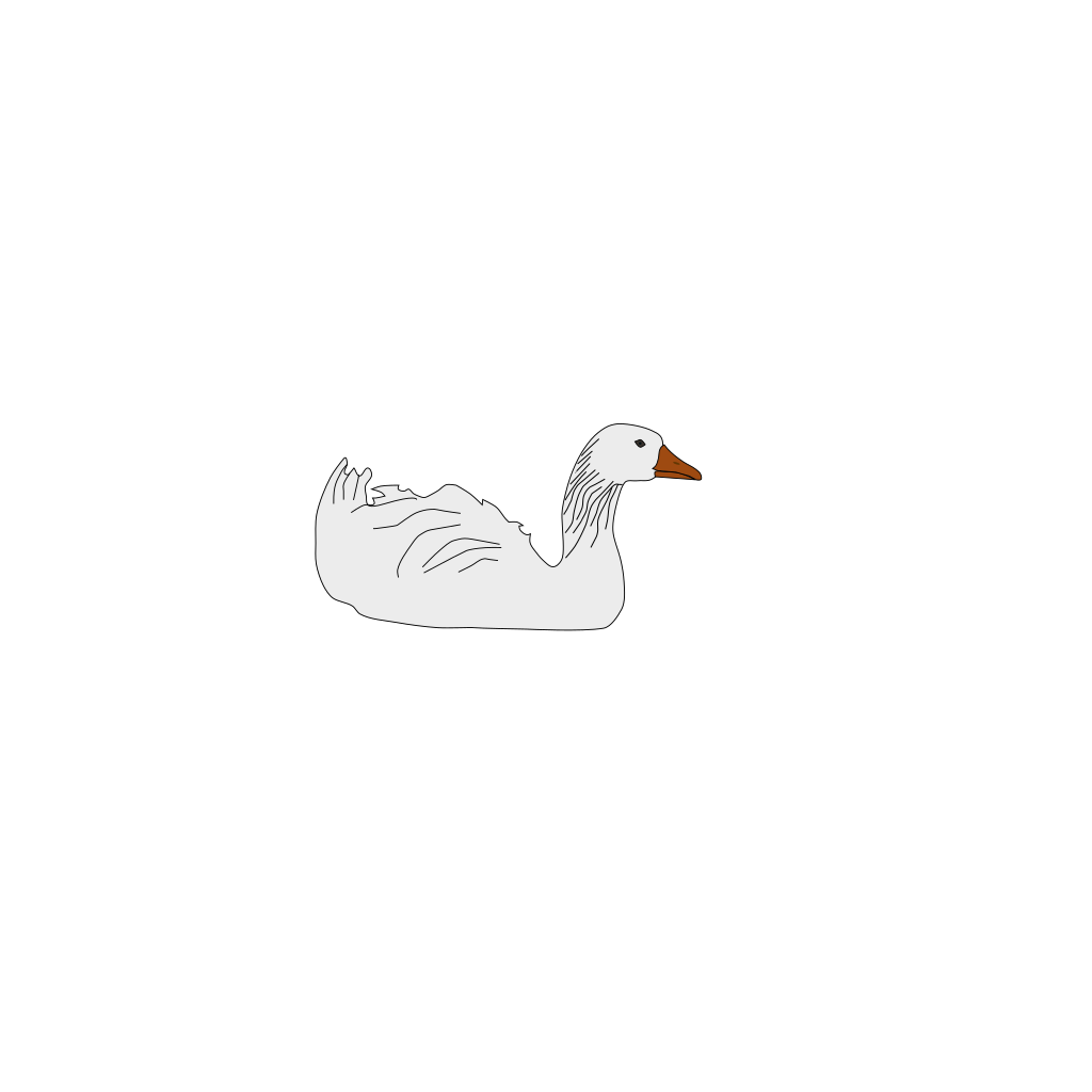 White Goose Bird Animal  clipart preview